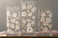 Transparent Water Gels Event Pack-Fills 5 Gallons of the Floating Gels for Your Vase Decorations- With Pre-Measured Prep/Storage Bags- No Guessing- Best Results- Not Including Pearls